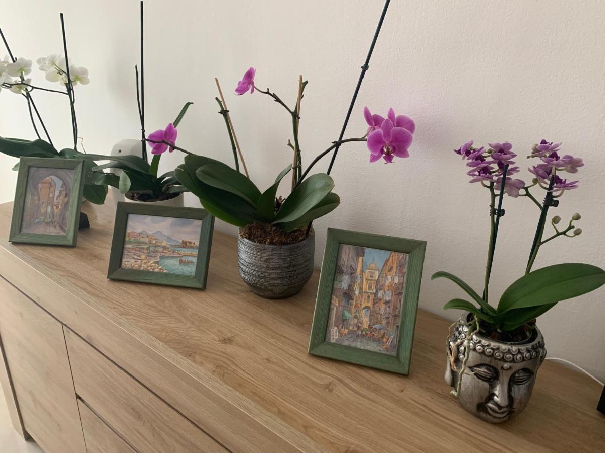 Apartament Al Capitello Mira Zewnętrze zdjęcie